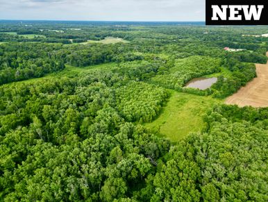 Aerial view of farmland bordered by lush green trees under a clear sky.