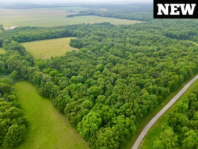 Aerial view of farmland bordered by lush green trees under a clear sky.