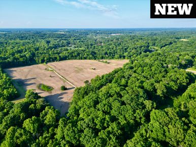 Aerial view of farmland bordered by lush green trees under a clear sky.