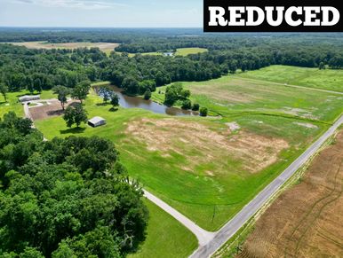 Aerial view of farmland bordered by lush green trees under a clear sky.