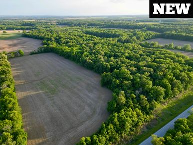 Aerial view of farmland bordered by lush green trees under a clear sky.