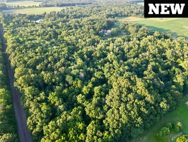 Aerial view of farmland bordered by lush green trees under a clear sky.