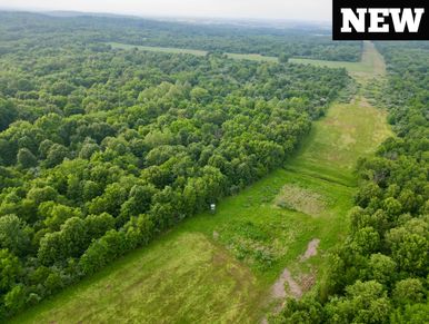 Aerial view of farmland bordered by lush green trees under a clear sky.