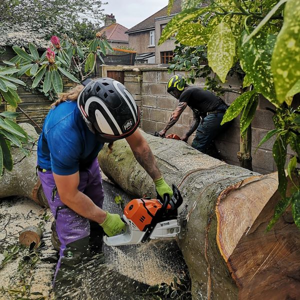 Tree surgeon using a chainsaw on a tree in Lancaster and Morecambe.