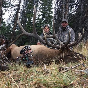 Wyoming outfitter guides hunter to a large bull elk archery kill