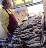 Man wearing apron arranging fish on a table indoors.
