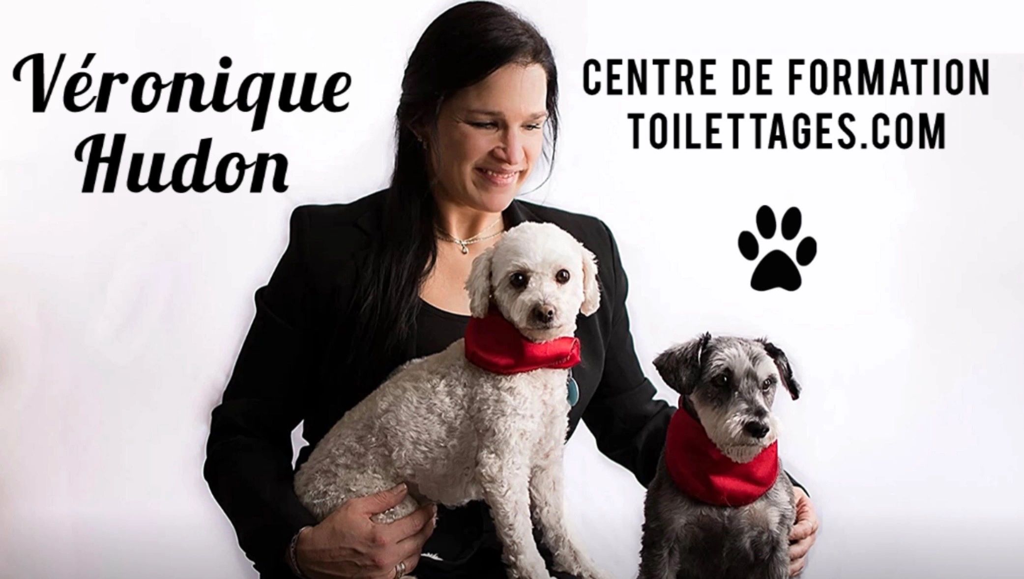 Centre de formation toilettage aux petits soins dog grooming listing photo