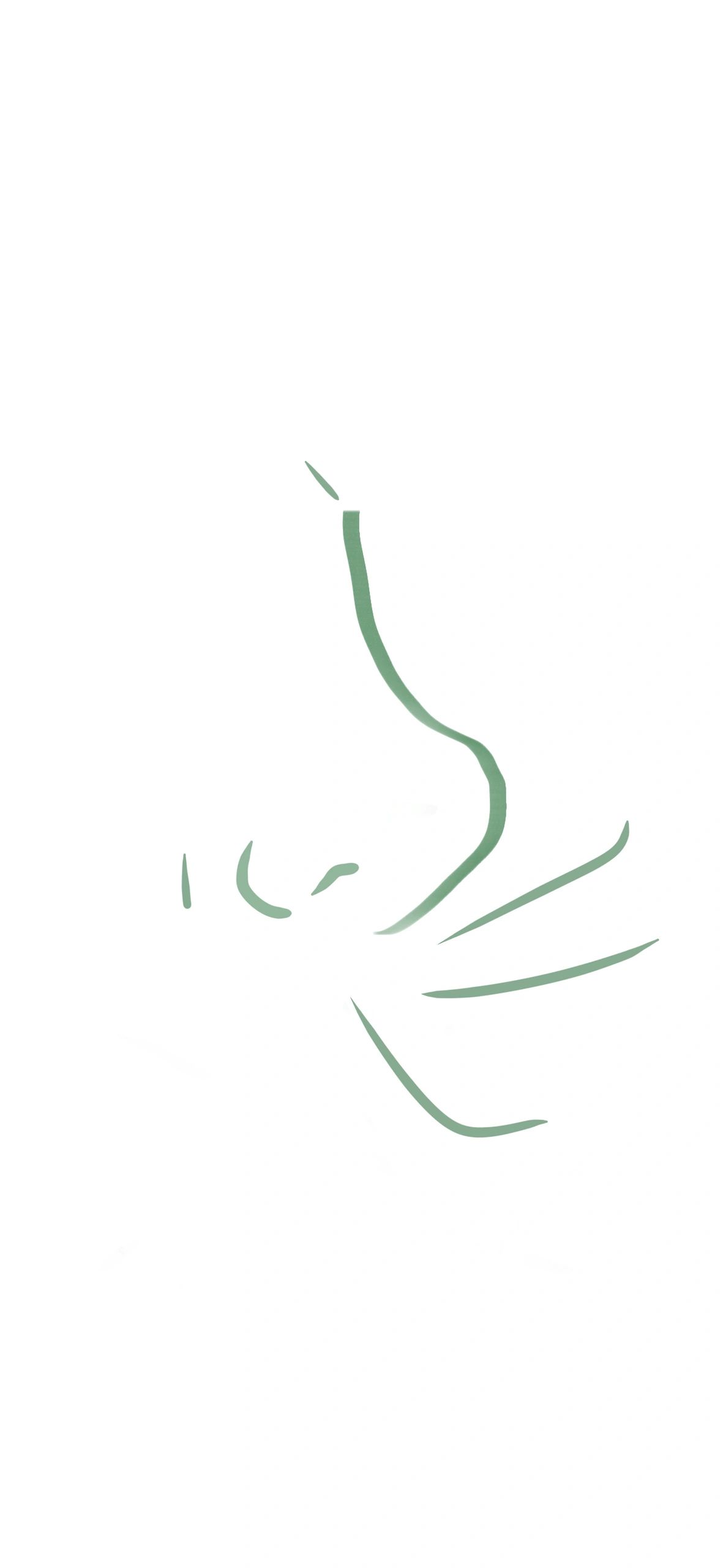 Flow State Breathing