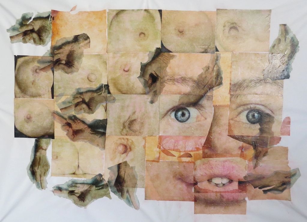 Collage of human body parts forming a distorted face with hands showing middle fingers.