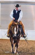 BMG Equine Productions | BMG Show Horses & Australian Cattle Dogs