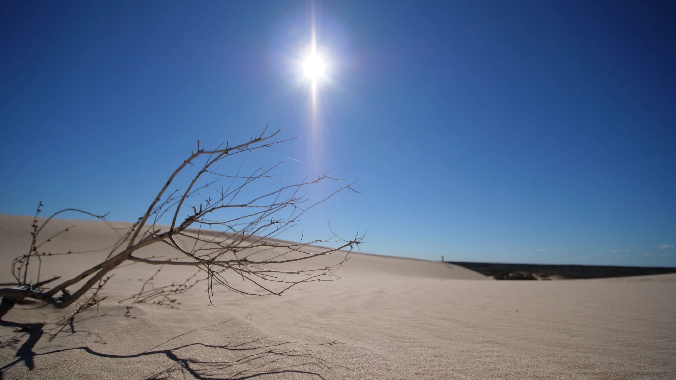 desert nature documentary filming 