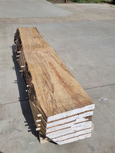 Spalted Beech