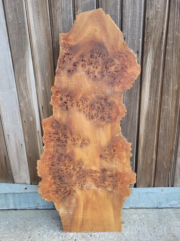 Burr Elm Live Edge