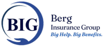 Berg Insurance Group