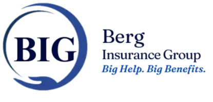 Berg Insurance Group