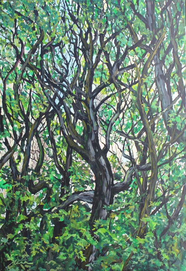 Anaga - acrylic on canvas - 75 x110 cm