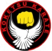 Koketsu Karate Club