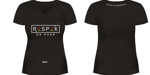 womens v-neck t-shirt