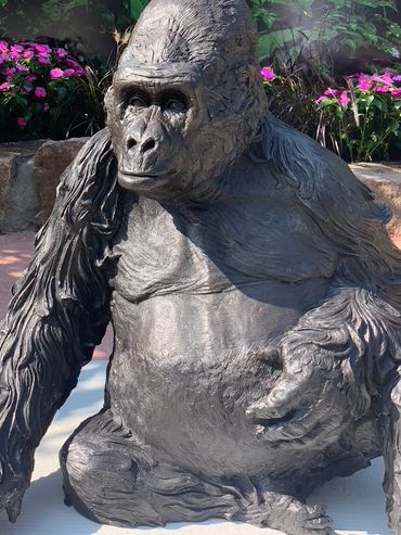 MARINA GUGLIELMI  'BRONZE CHARLES' Western Lowland Gorilla (detail)
The Toronto Zoo, Toronto, Ontari