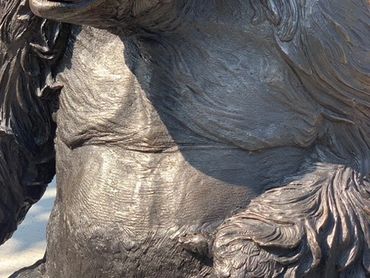 MARINA GUGLIELMI  'BRONZE CHARLES' Western Lowland Gorilla
The Toronto Zoo, Toronto, Ontario, Canada