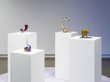 MEERA MARGARET SINGH 'What We Hold' 
Installation view at Gallery TPW 2020. 
Photo by Darren Rigo 