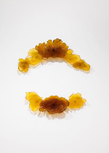 JENNIFER ROSE SCIARRINO 'Canary 1' 2020. Lost wax cast crystal glass (colour changing). 