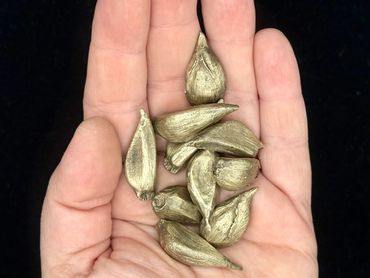 LILI SIMPSON 'Dad's Garlic' 2026
Lost wax cast silicon bronze, patina, wax.