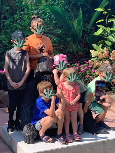 MARINA GUGLIELMI  'BRONZE CHARLES' Western Lowland Gorilla , Age 52 (detail)
The Toronto Zoo, Toront