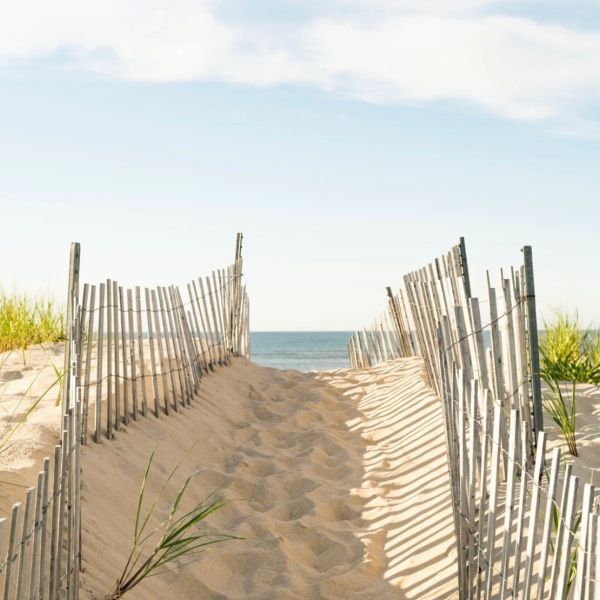 Sandy path between fences leading to the ocean.
