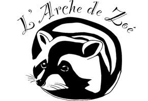 L'arche de Zoé