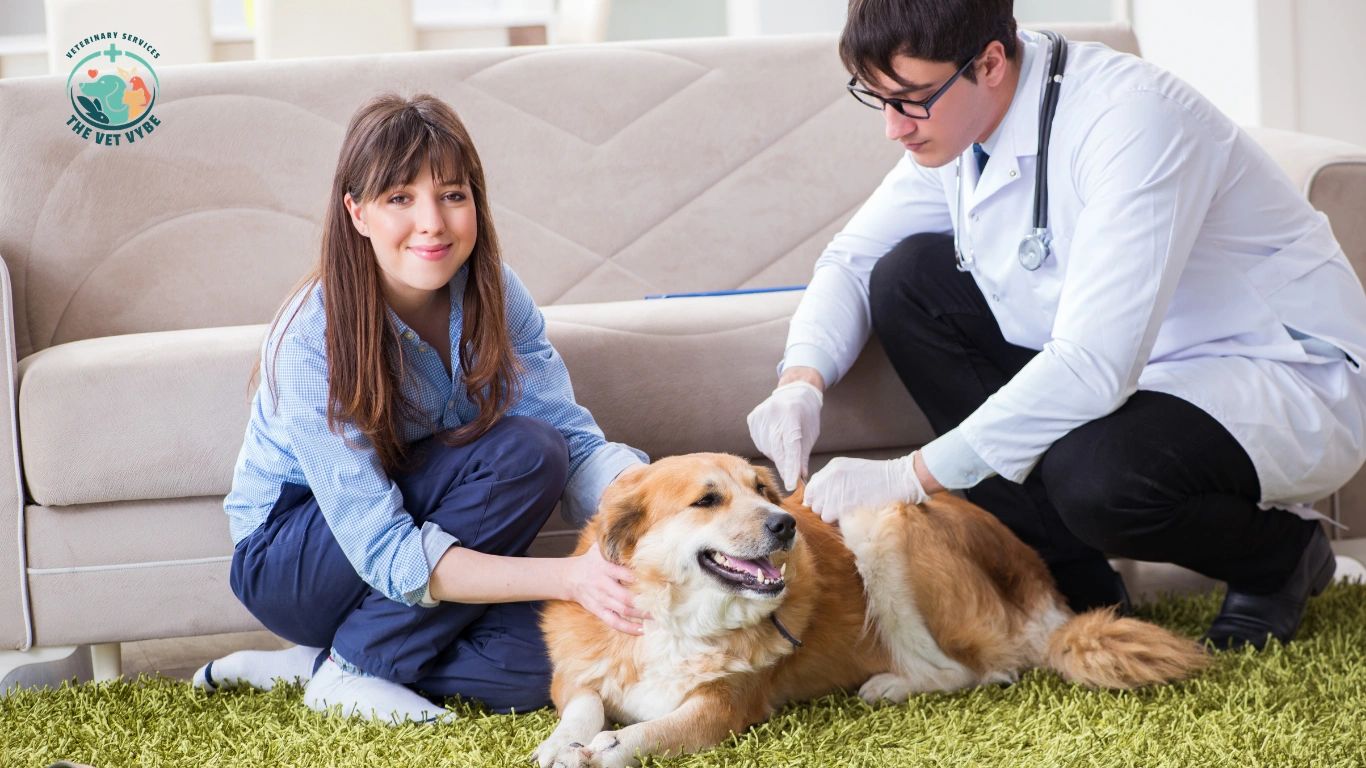 Veterinarian and owner caring for a happy dog indoors.