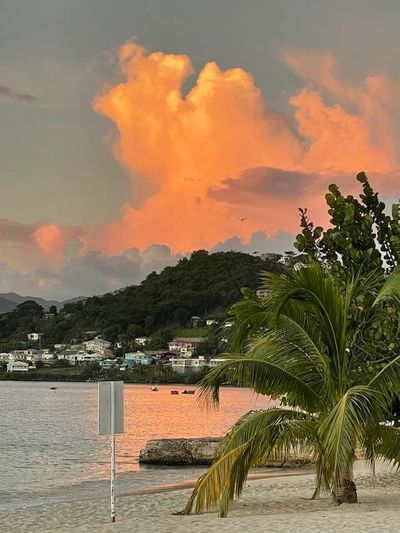 Sunset over tropical beach with palm tree and distant hills.