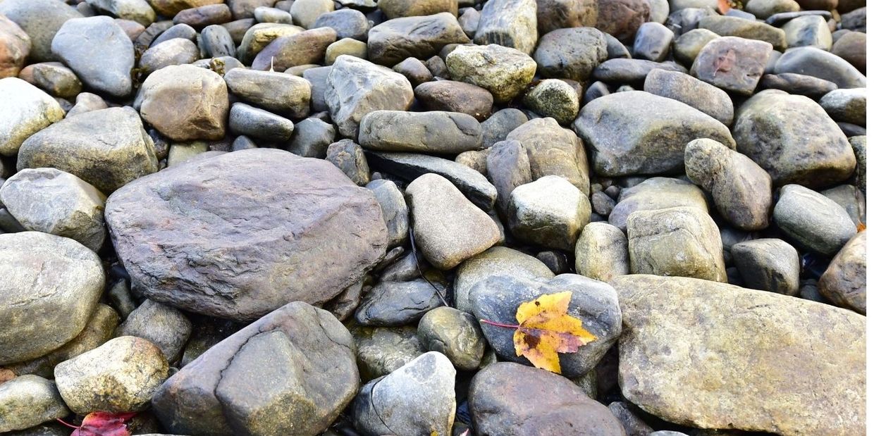 Middleton CPA Programs