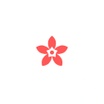 DrRed Jasmine 