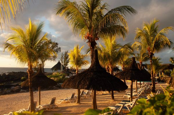 Palm trees and lounge chairs on a sunny beach at sunset.