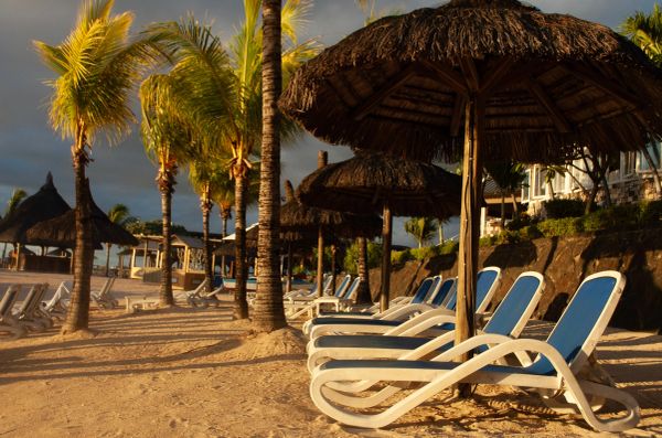 Beach chairs and palm trees under thatched umbrellas at sunset.