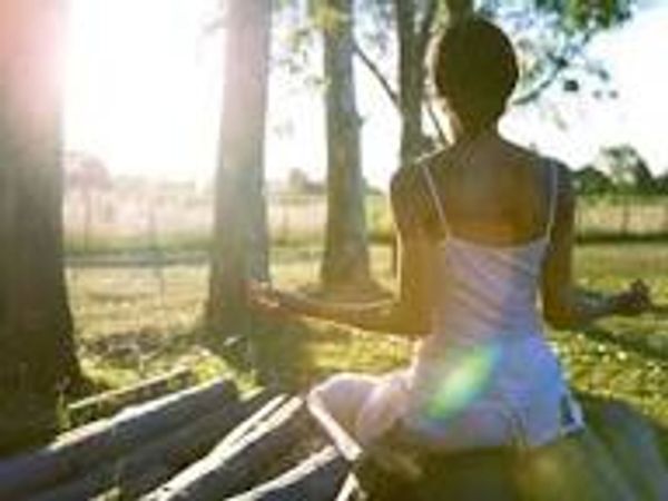 Person meditating outdoors in sunlight among trees.