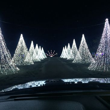 Christmas Drive Through Park Christmastime In Texas