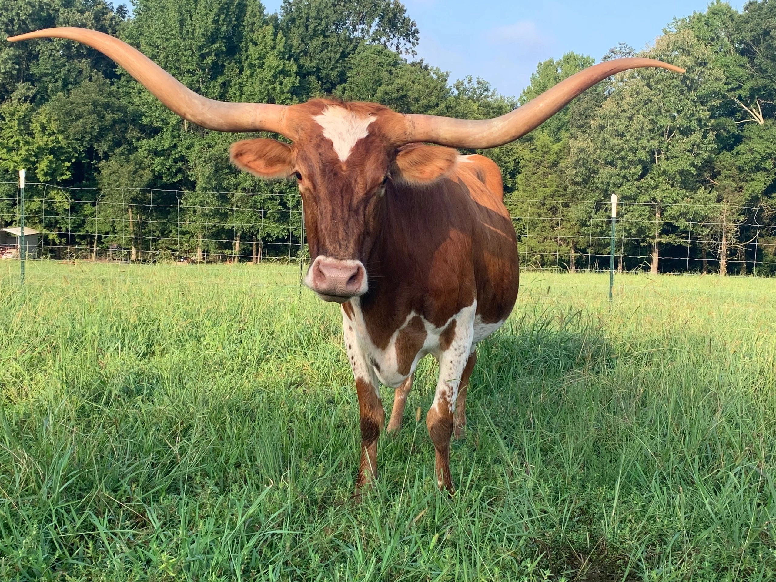 Mobile hobby farm