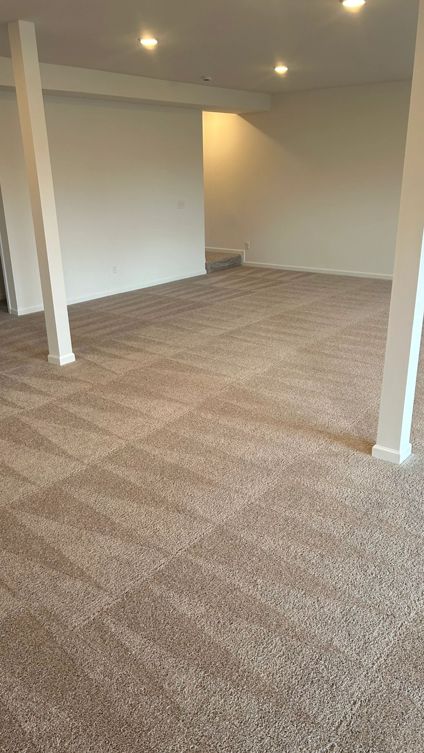 Carpet Cleaning Spring Hill Tn