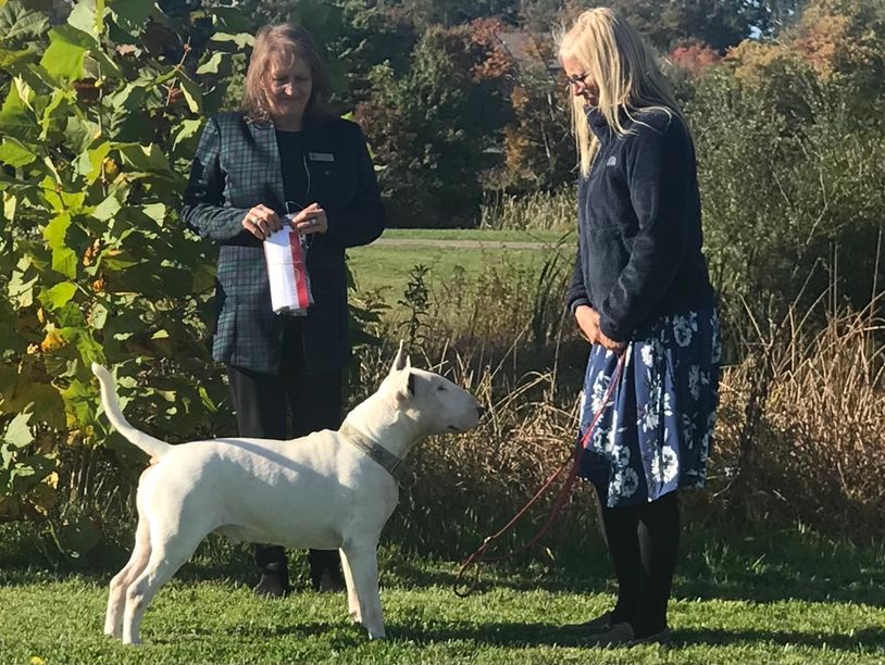 Heidi with award winning dog at dog show