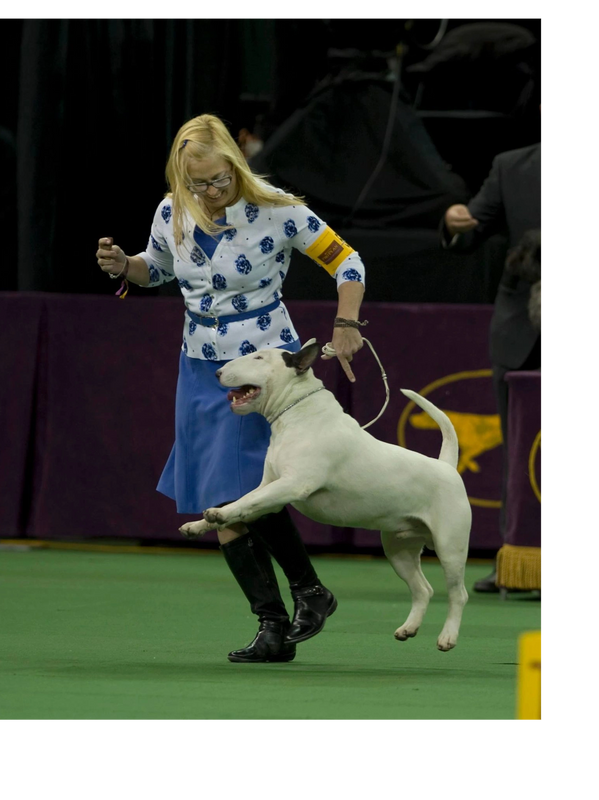 Heidi with a dog at a dog show