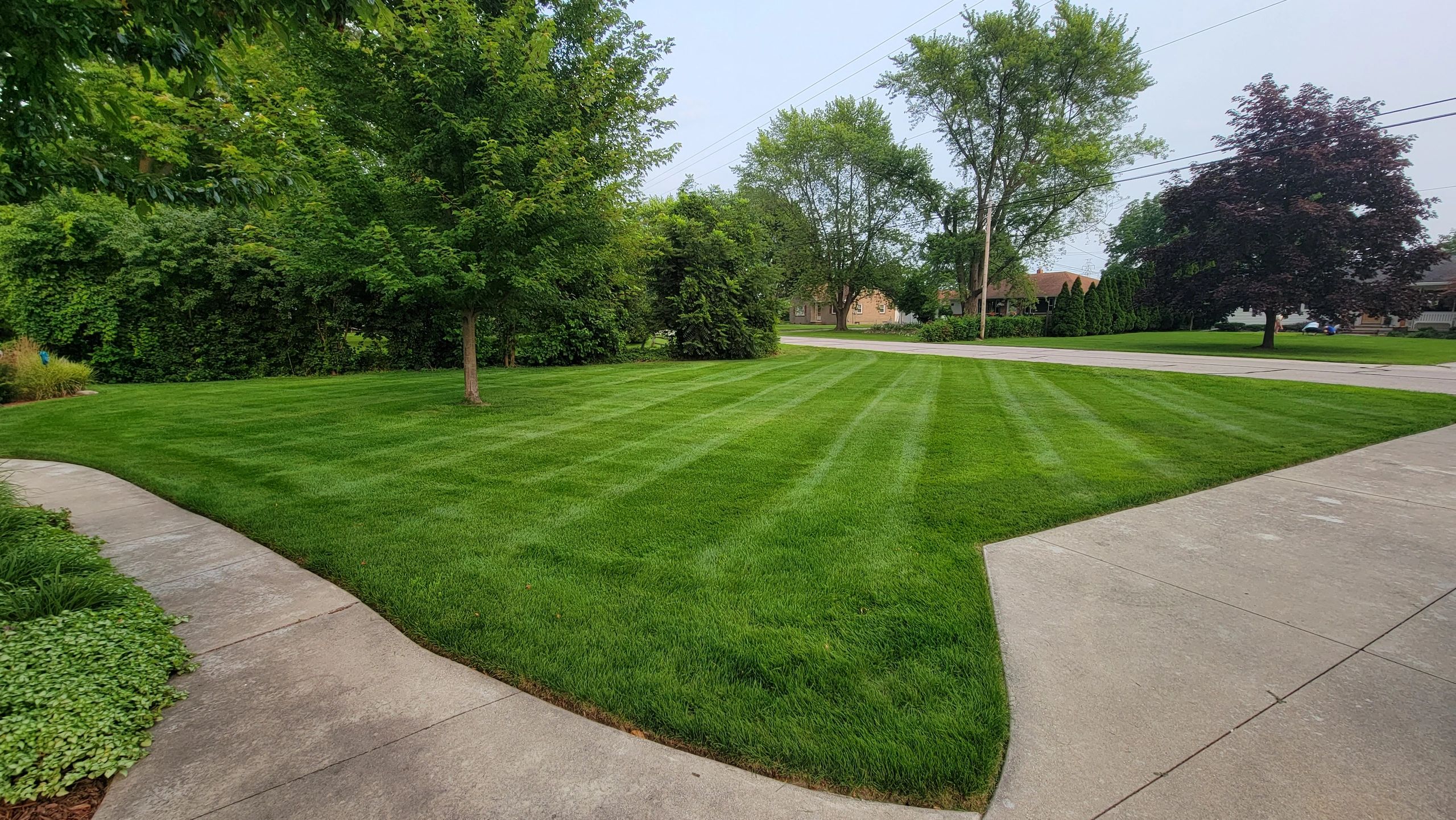 Professional Lawn Care Services American Pride Property Maintenance LLC