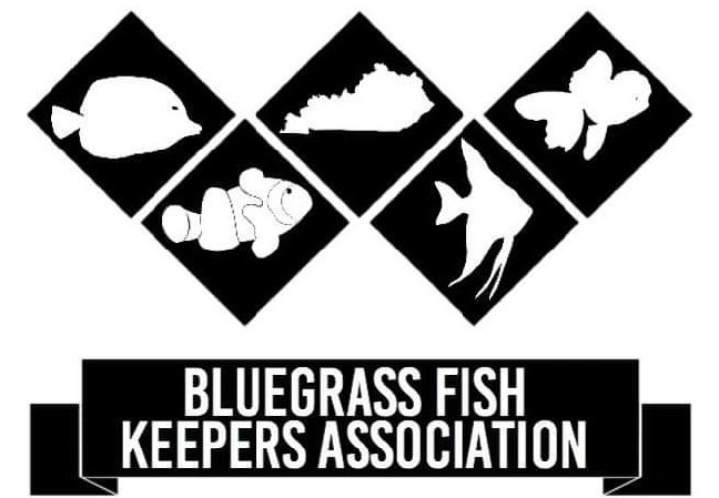 Bluegrass Fish Keepers Association