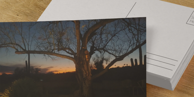 Post Cards
