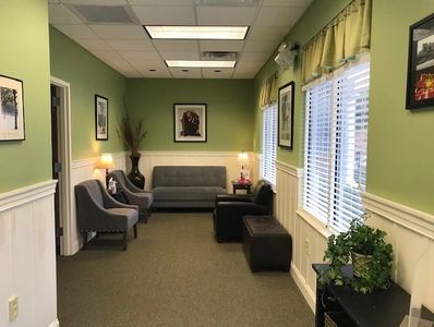 Cozy waiting room with green walls and comfortable seating.