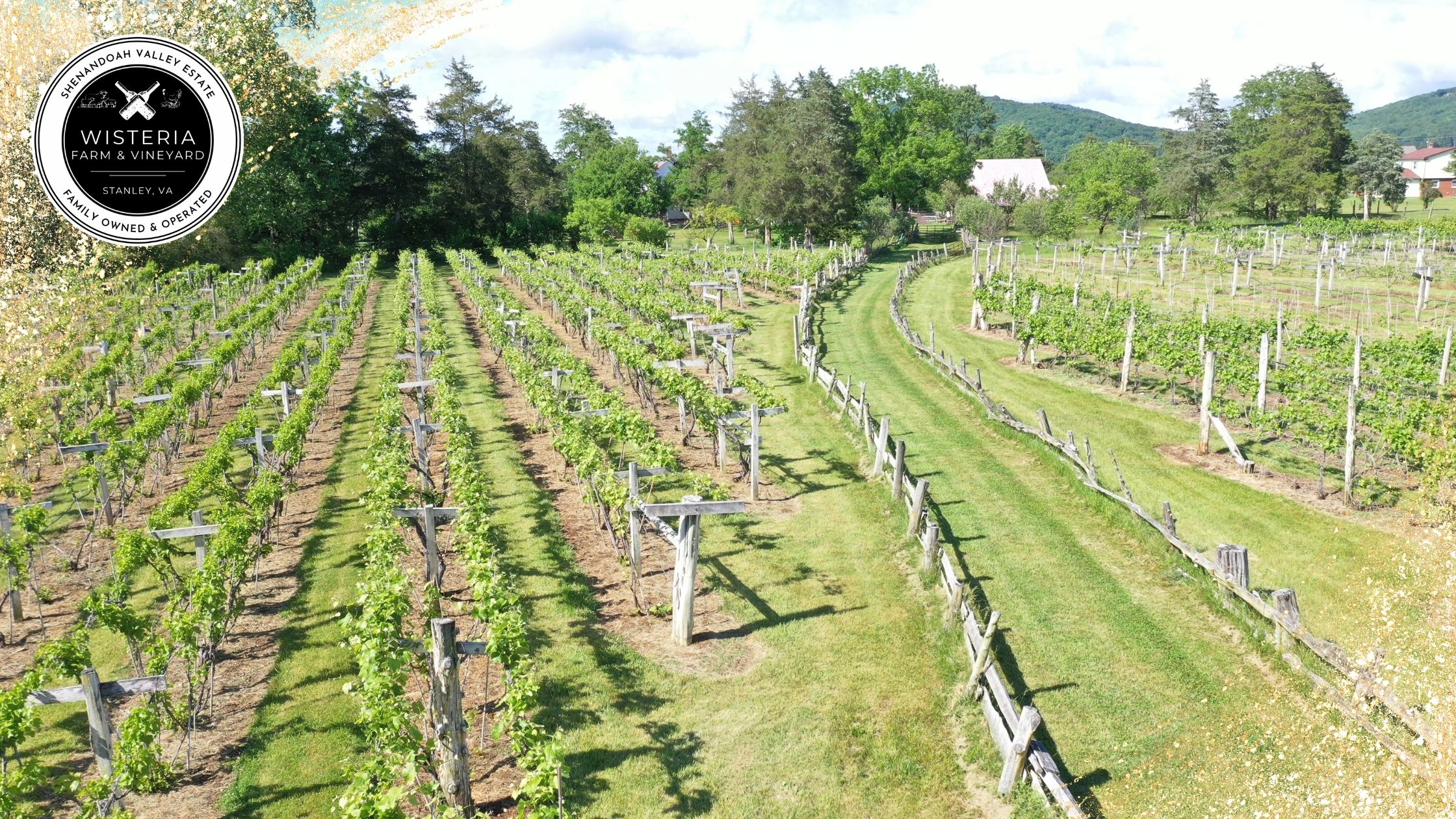 Header image with logo