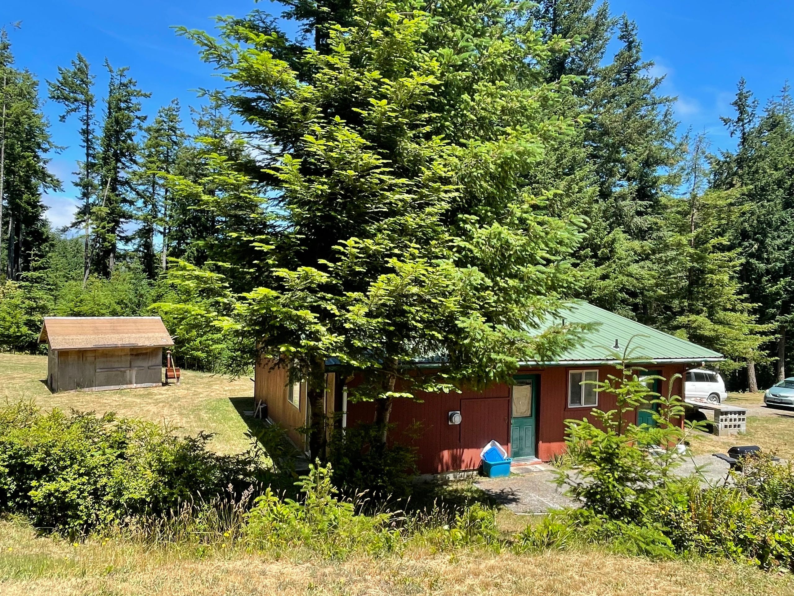 A red cabin with a green roof surrounded by trees and a wooden shed nearby.