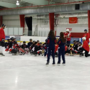Golden Chariots Adult Sled Hockey