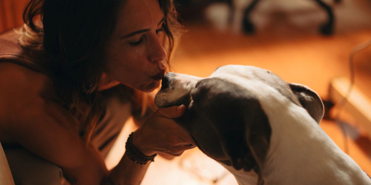 Woman kissing her dog affectionately indoors.